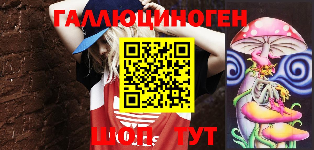 Псилоцибиновые грибы Psilocybine cubensis Карачаевск